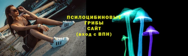 стафф Белокуриха