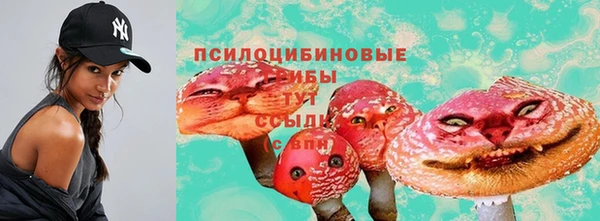 стафф Белокуриха