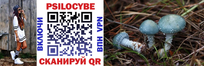 Купить закладки  Кузнецк  Галлюциногенные грибы Psilocybine cubensis 