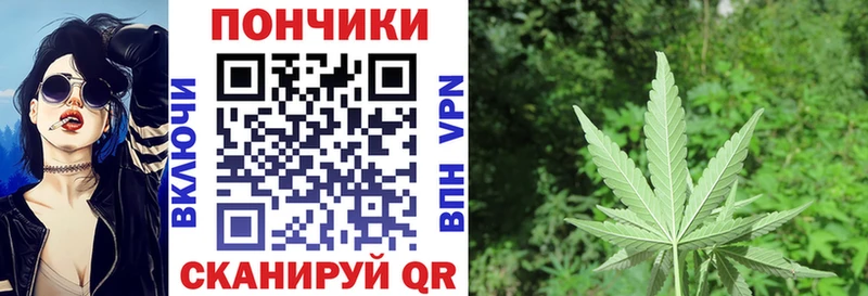 Купить  Кузнецк  Шишки марихуана Amnesia 